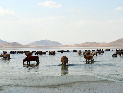 Haçlı Gölü (Bulanık)