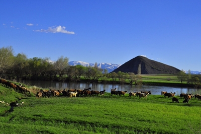 Mercimek Kale Höyüğü